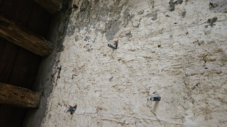 Učvrstitev zidov (27. februarja letos)